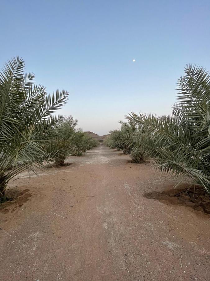 Alreef Farm Villa Resü'l-Hayme Dış mekan fotoğraf